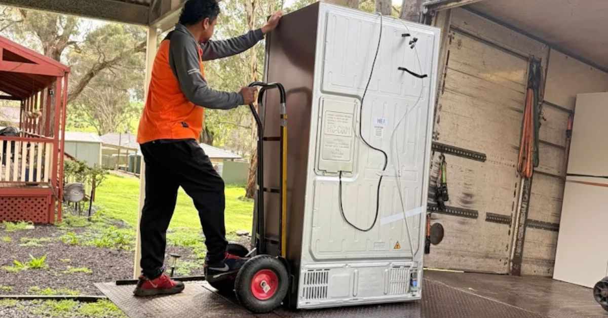 Top Benefits of Backloading Adelaide to Sydney by Shine Movers