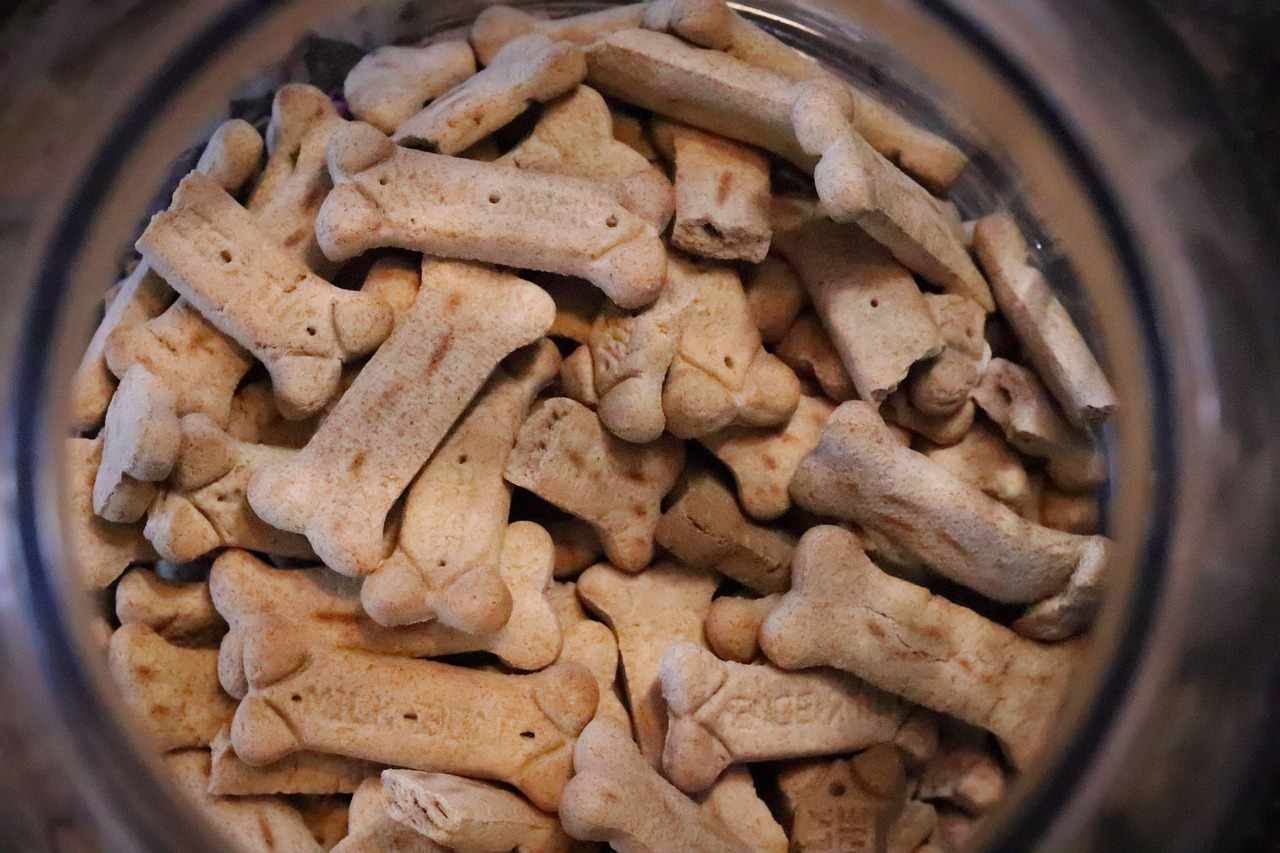 Pet Food Market Pet Supplements Growth