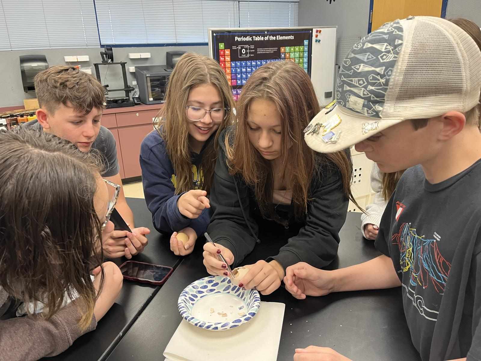 Stem Private Schools in Tucson AZ