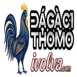 ĐÁ GÀ C1 | TRỰC TIẾP ĐÁ GÀ  THOMO XEM MIỄN PHÍ