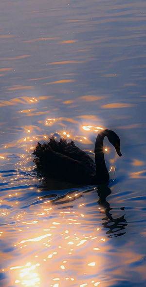 CHAPTER:7 Fury and Fireflies