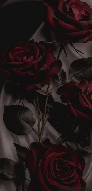 CHAPTER 20: Newly weds....