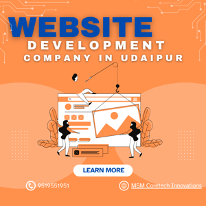 website development company in udaipur​