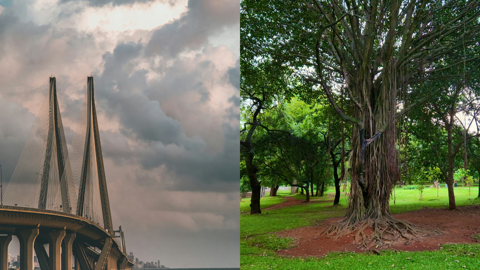 Twin Souls of Indian Literature: Mumbai and Bangalore as Cultural Capitals