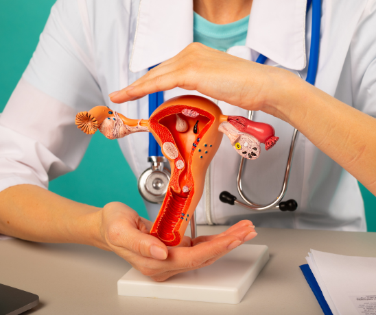 Expert Women’s Health Care by the Best Gynecologist in Beawar