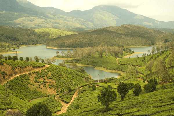 Vellore to Yelagiri Cab