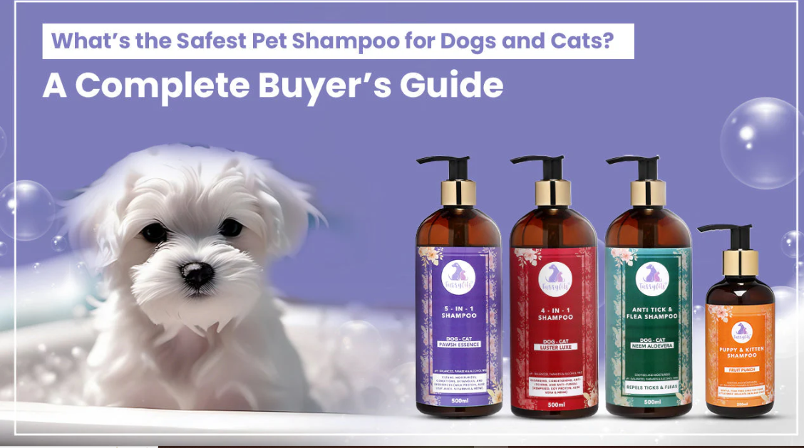What’s the Safest Pet Shampoo for Dogs and Cats? A Complete Buyer’s Guide