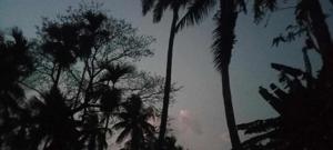 Pritimayee Sahoo logo