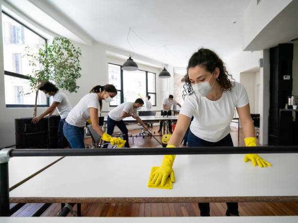 Professional Apartment Cleaning