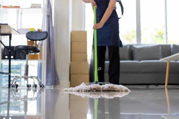 Cleaning Companies in Fort Collins: Professional Solutions for Homes and Businesses