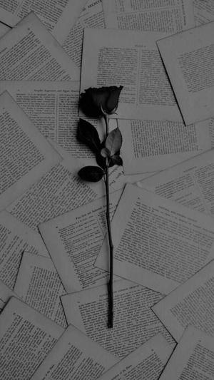 Black8Rose logo