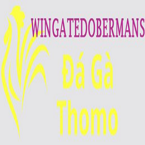 dagawingate