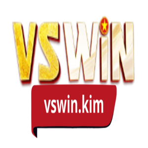 VSWIN