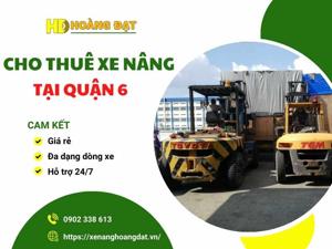 dich vu cho thue xe nang tai quan 6