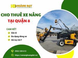 dich vu cho thue xe nang tai quan 8