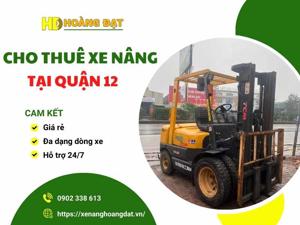 dich vu cho thue xe nang tai quan 12