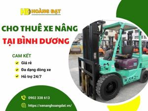 cho thue xe nang tai binh duong
