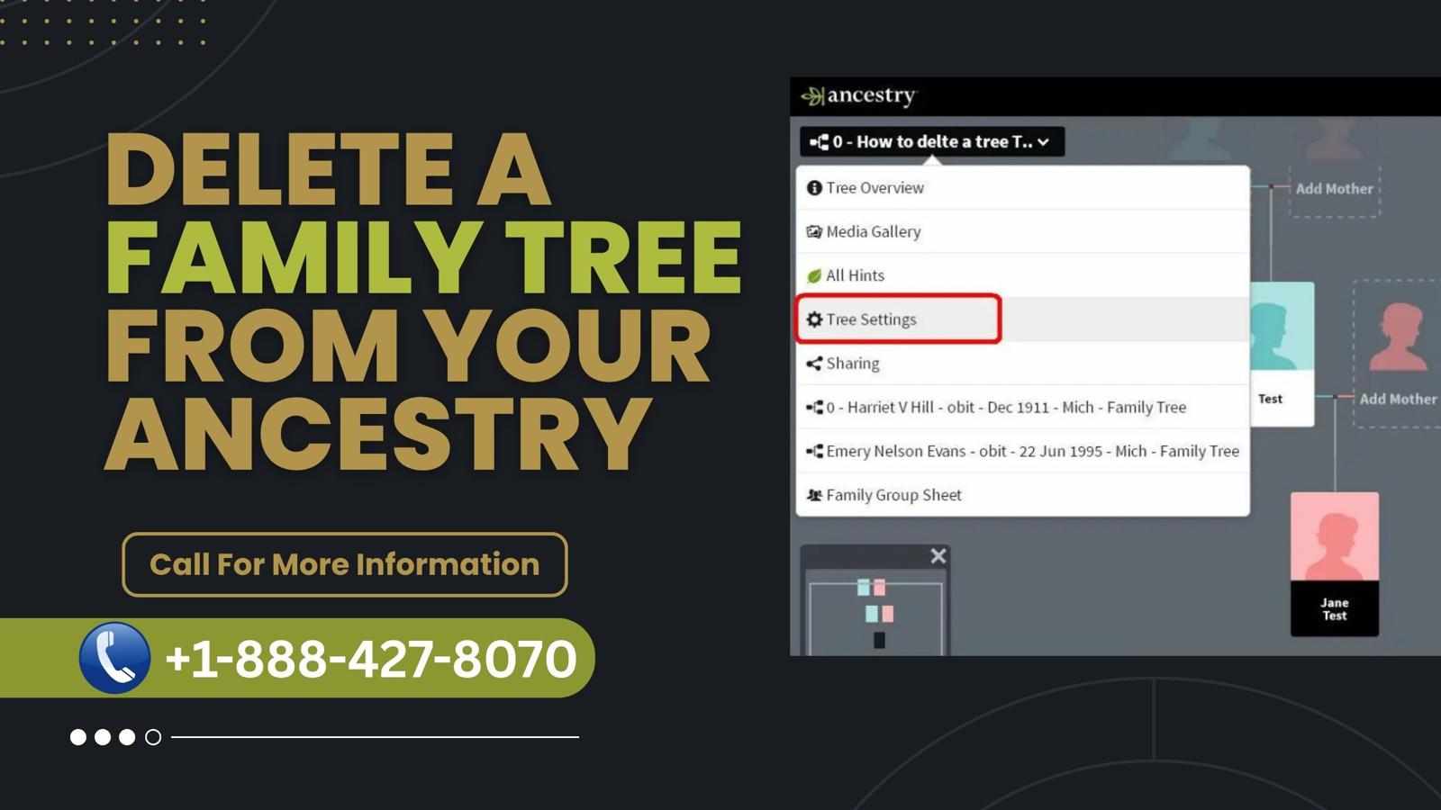 Delete a Family Tree from your Ancestry