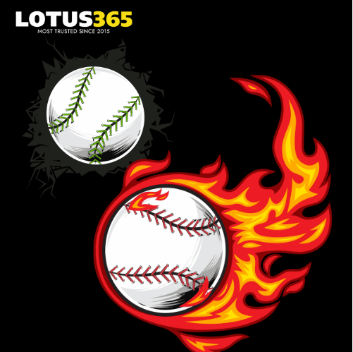 Everything Beginners Need to Know About Lotus365 Win