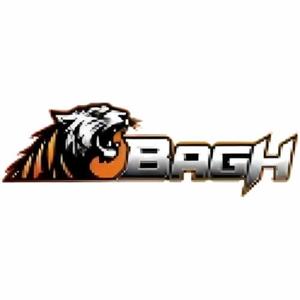 Bagh Live logo