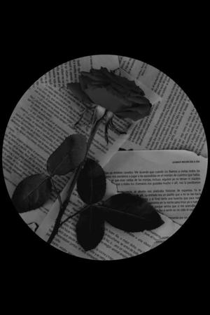 MoonlitManuscript logo