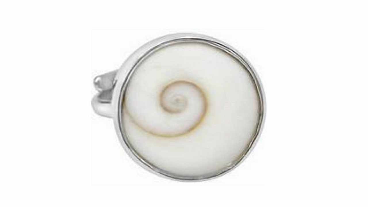 Bring Prosperity and Positivity Home with Gomti Chakra