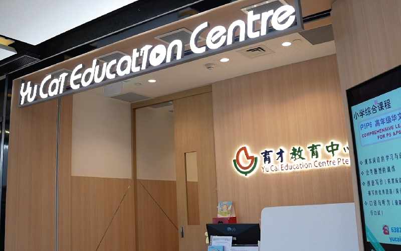 Building Foundations: Early Chinese Success with Tuition Sengkang