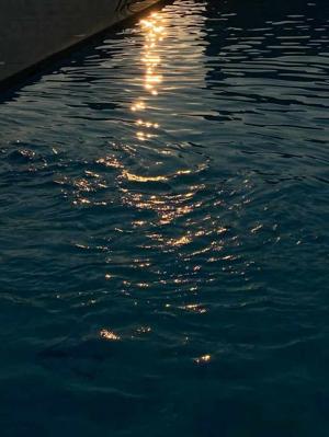 Chapter 10 - Fragmented Memories