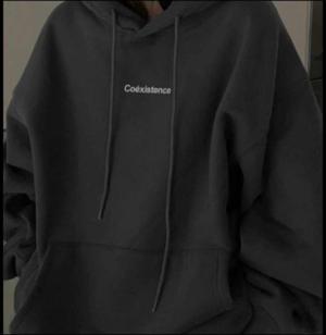 Chapter 12 - The hoodie heist✨