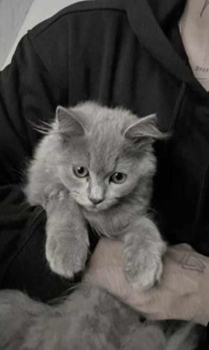 Chapter 36 - The Banter