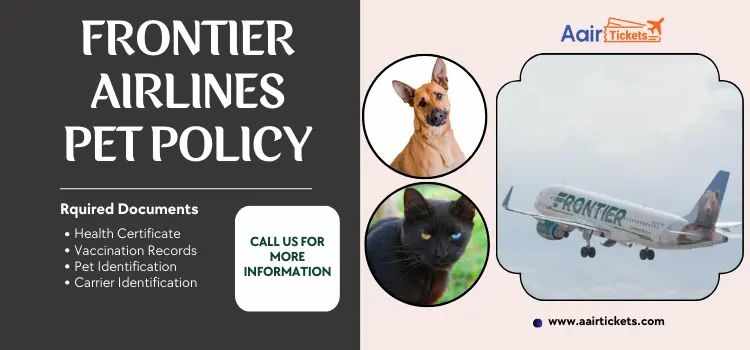 Frontier Airlines Pet Policy