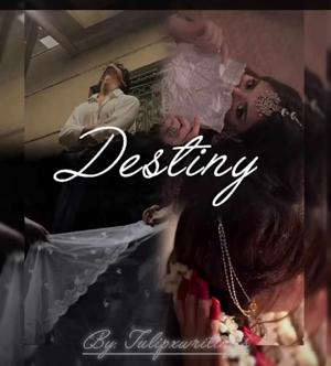 Chapter 3