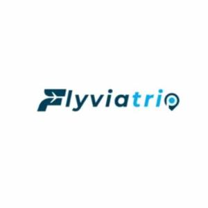 Flyviatriptravel logo