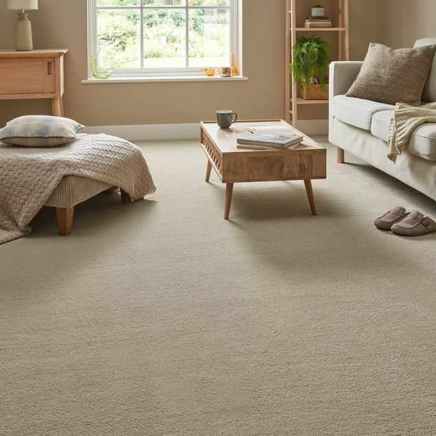 Soft Thick Carpet: Benefits, Styles and Buying Guide