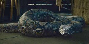 5.30 (The Snake)