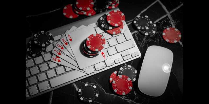 Online Gamblers Database – Premium Gambling Leads by LeadsCampus