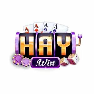 Haywin – Điểm đến cá cược trực tuyến uy tín