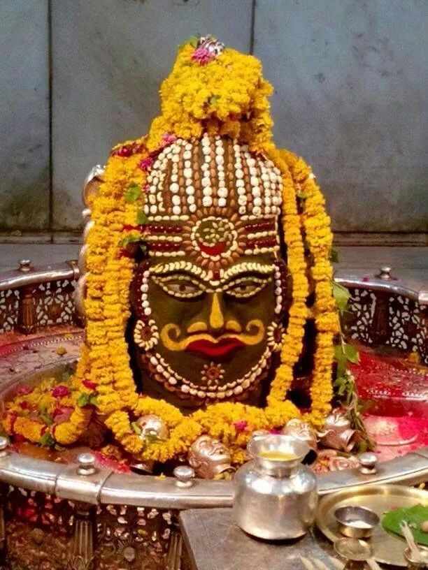 Where to Book a VIP Shiv Rudrabhishek Yajna