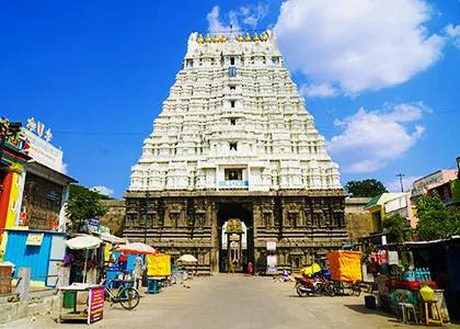 How VIP Access Enhances Your Visit to Kanchipuram Varadharaja Perumal Temple.