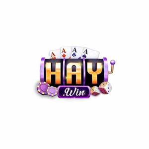 1Haywin