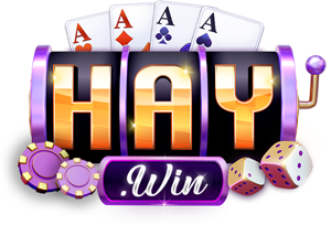 1Haywin tech