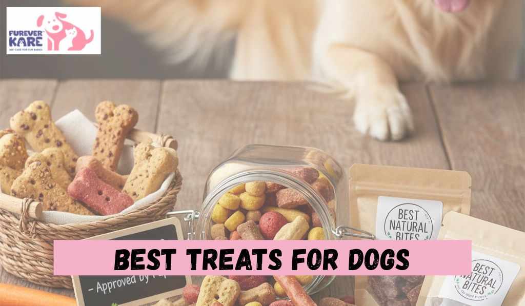 Best Treats for Dogs | Healthy Snacks by Furever Kare