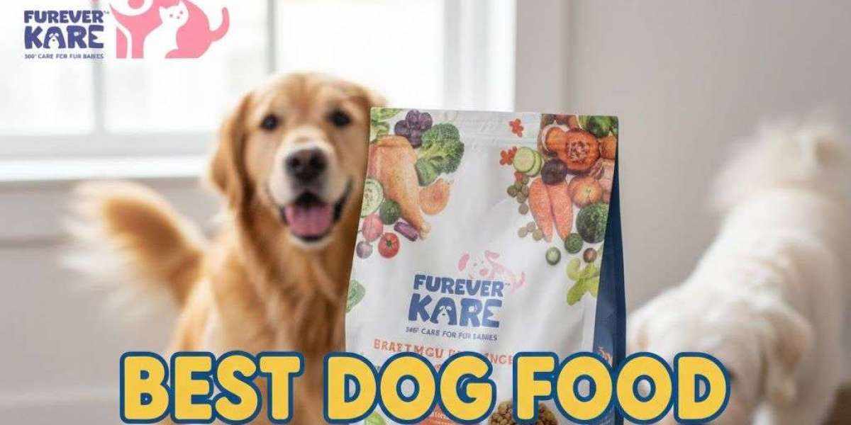Best Dog Food Brands for Your Pet’s Health | Furever Kare