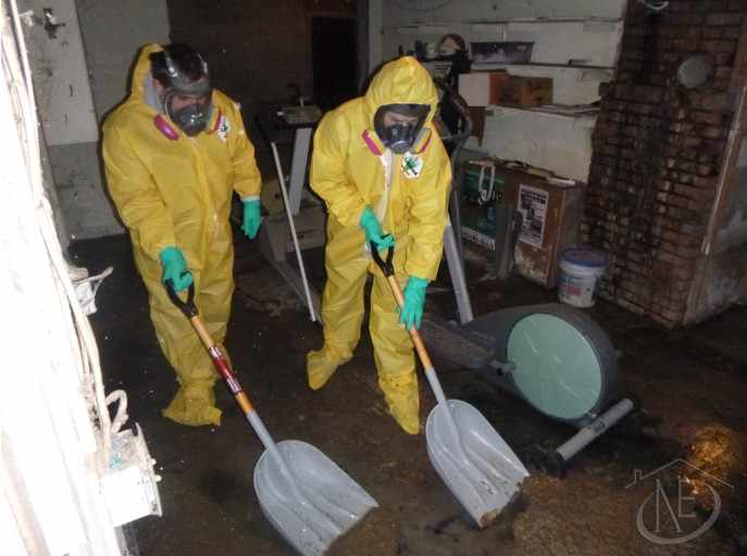 Northeast Sewage damage cleanup
