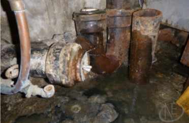 Affordable Northeast Sewage Damage Cleanup Services