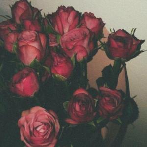 midnight author logo