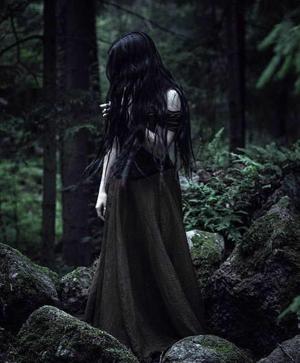 🌑 Final Chapter: The Thorns Remember