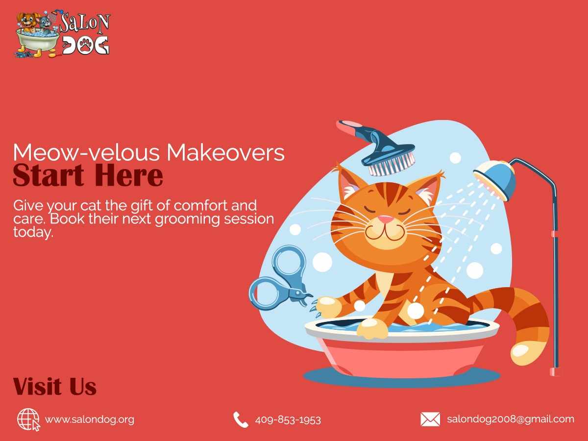 Discover the Best Pet Groomer in Nederland, TX: Salon D.O.G