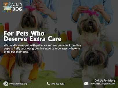 Complete Pet Care at Salon D.O.G: Expert Dog Teeth Brushing & Cat Nail Clipping Services in Beaumont and Nearby Areas