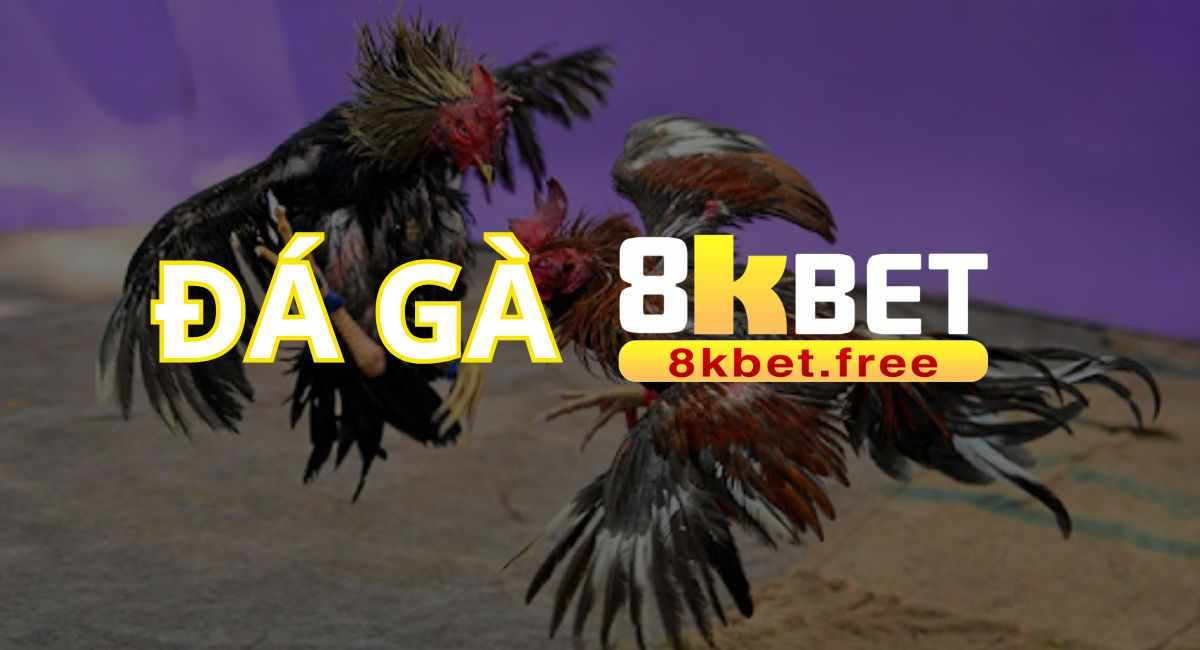 Đá Gà 8KBET